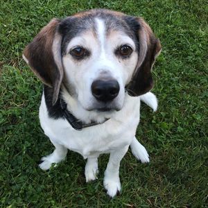 Meet your Posher, Dan